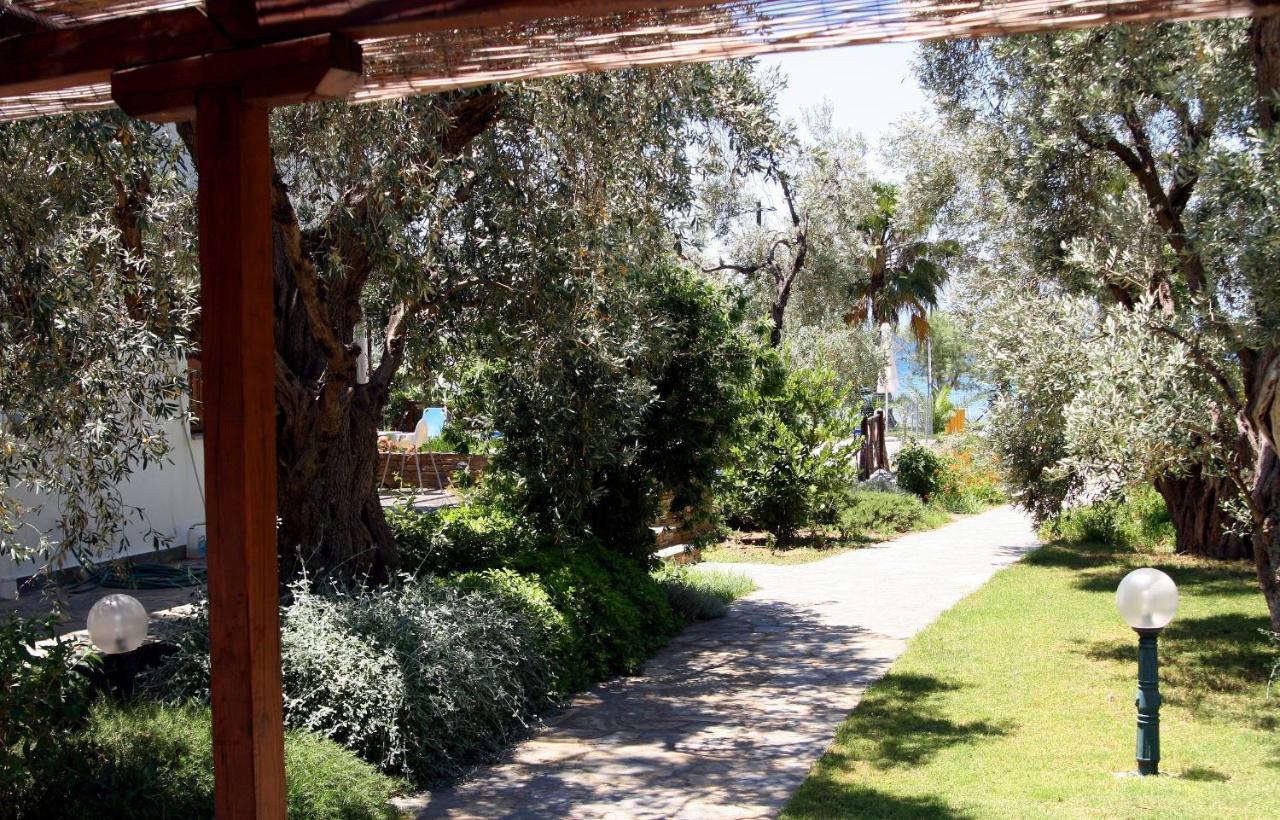 לפוקסטרו Razi Beach מראה חיצוני תמונה