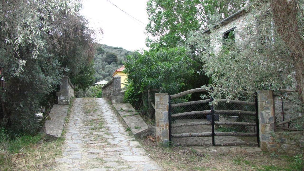 לפוקסטרו Razi Beach מראה חיצוני תמונה